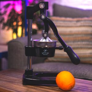 Pulperizer 9 in 1 Cast Iron Juicer by Zulay Kitchen - Image 1